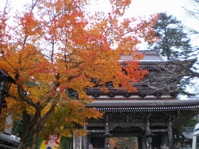 谷汲山華厳寺