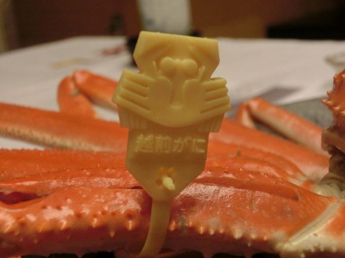 越前がにってどんなカニ？