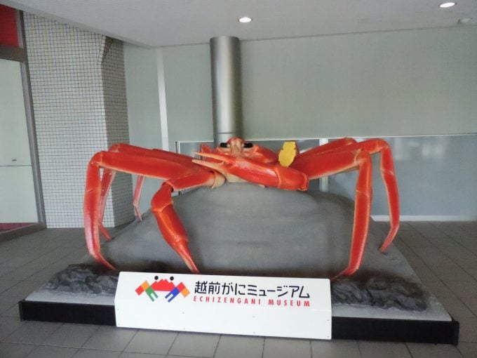 越前がにってどんなカニ？