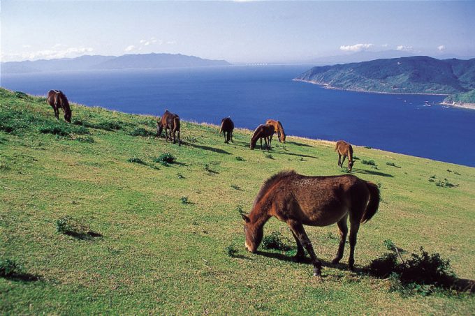 宮崎県 インスタ映え 都井岬