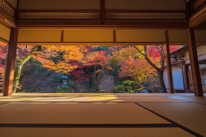 岐阜県は紅葉の名所があり過ぎる！迷ったらこの神社仏閣へ