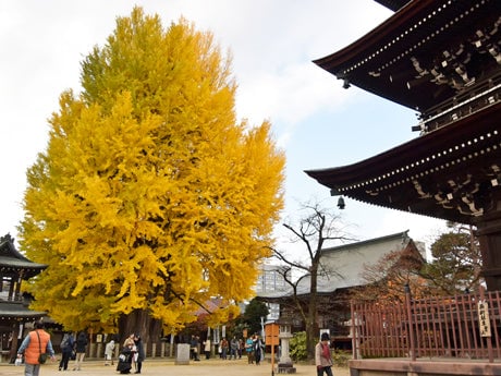 飛騨国分寺