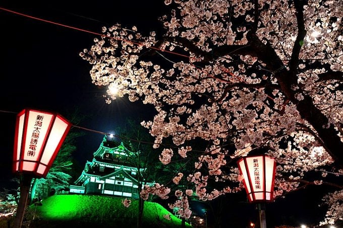 高田城址公園