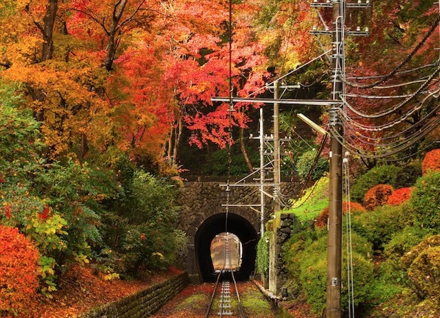 黒部峡谷トロッコ電車とは?