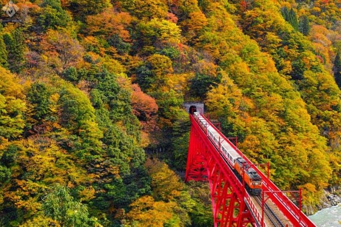 黒部峡谷トロッコ電車とは?