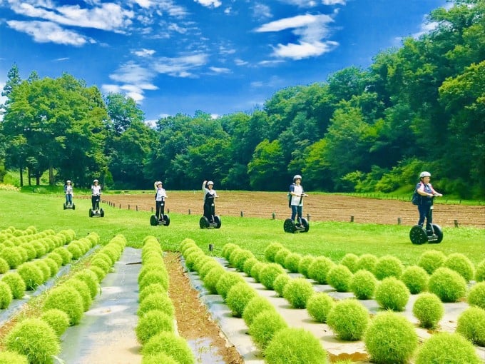 武蔵丘森林公園 セグウェイ