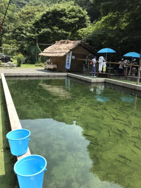 帝釈峡釣り