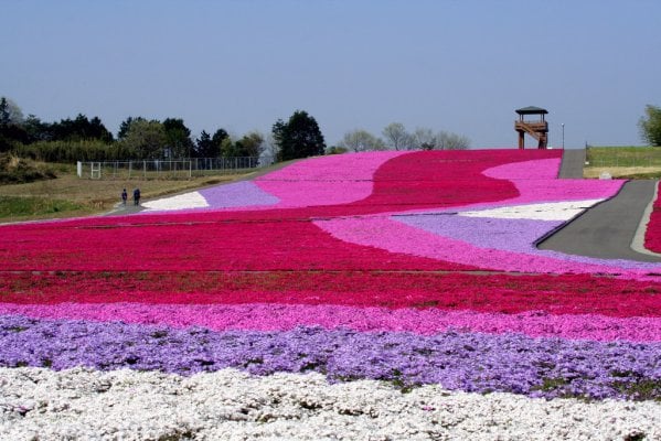 昼神温泉からの転身、村おこしのきっかけ