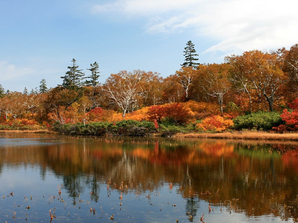 ひがしもこと芝桜公園