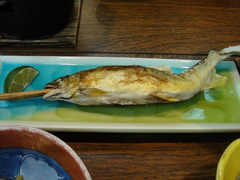 椿館 別館のイワナ
