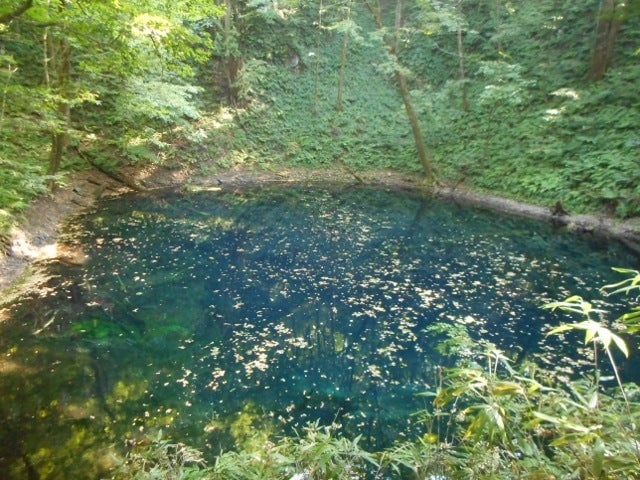 青森県 デート 白神の森 遊山道