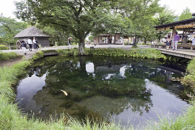 湧池(わくいけ)