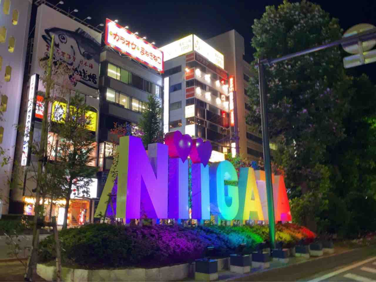 NIIGATA光のページェント2