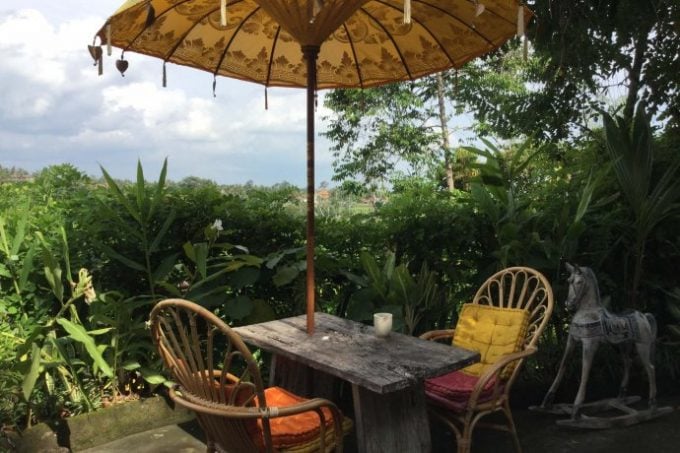Yellow flower cafe