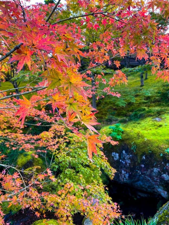 箱根美術館
