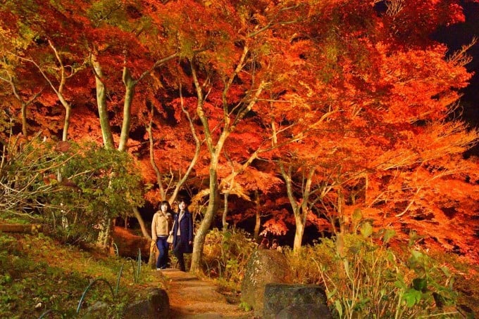 茨城インスタ映え 筑波山 紅葉