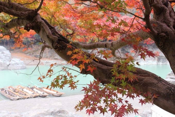 長瀞 紅葉