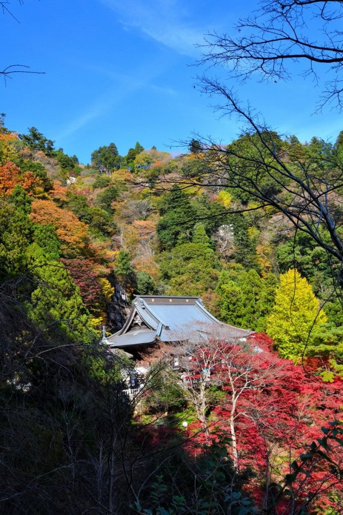 大山寺 伊勢原