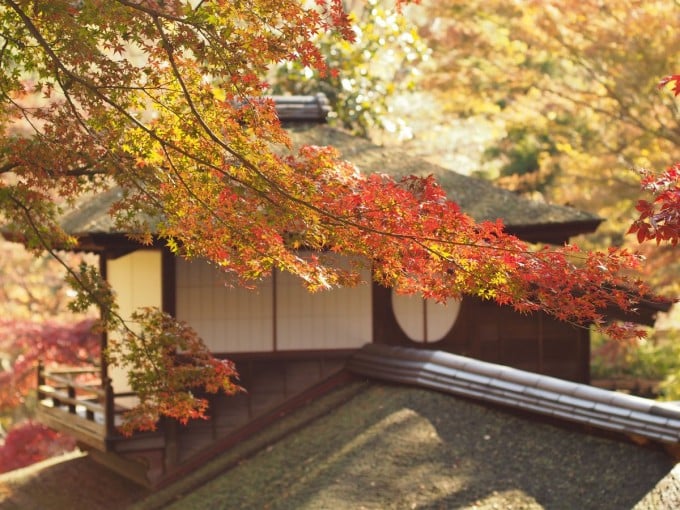 三溪園 紅葉