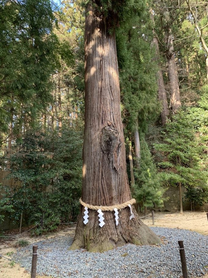福島県 パワースポット 鹿嶋神社 白河 御神木
