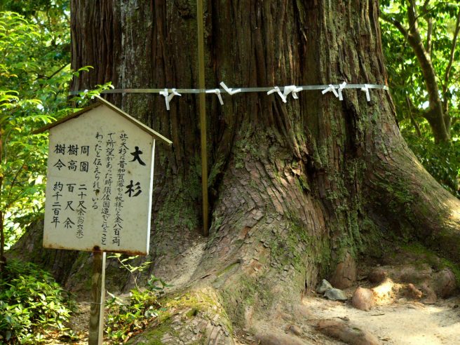 島根 パワースポット 須佐神社