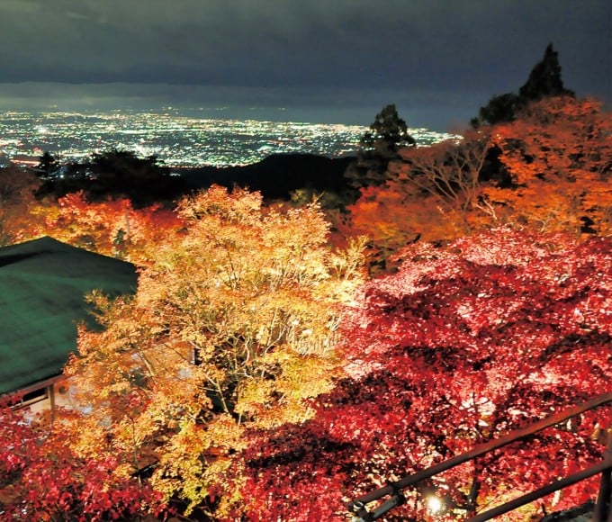 大山寺 紅葉
