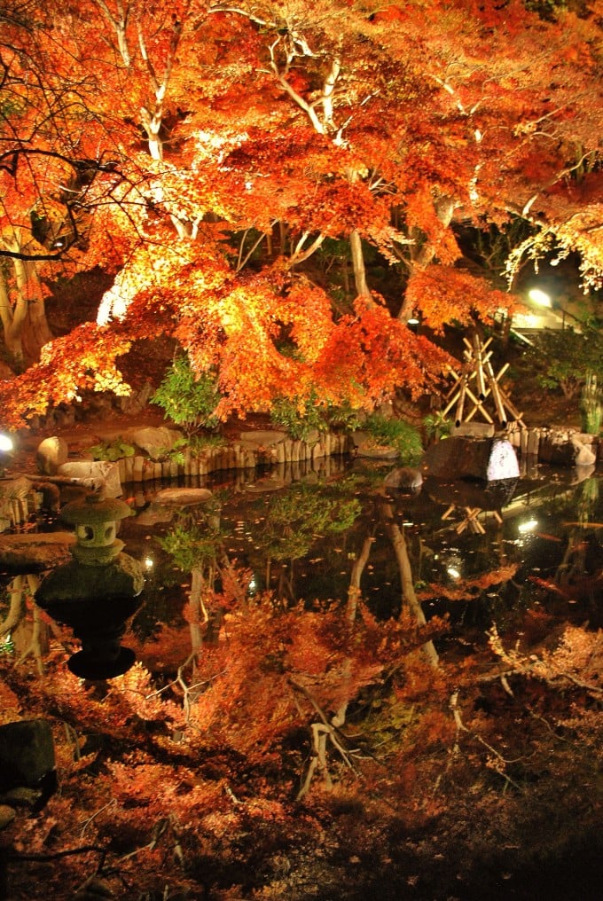 鎌倉 長谷寺 紅葉