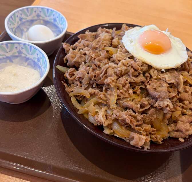 メガ牛丼とどっちがお得?明確な比較