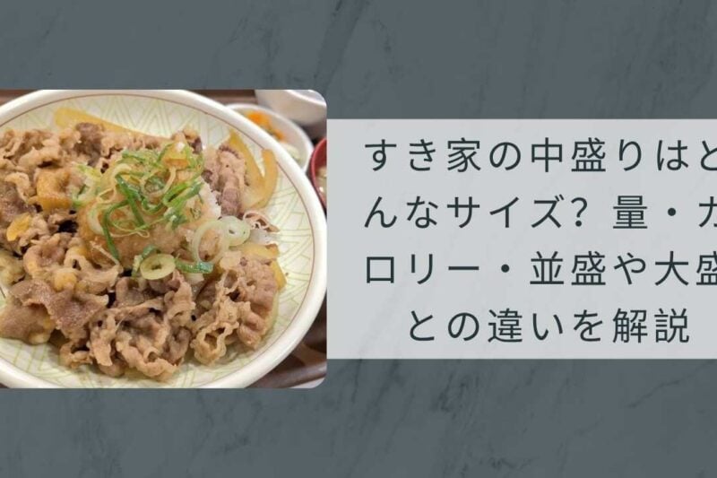 すき家の中盛りはどんなサイズ？量・カロリー・並盛や大盛との違いを解説
