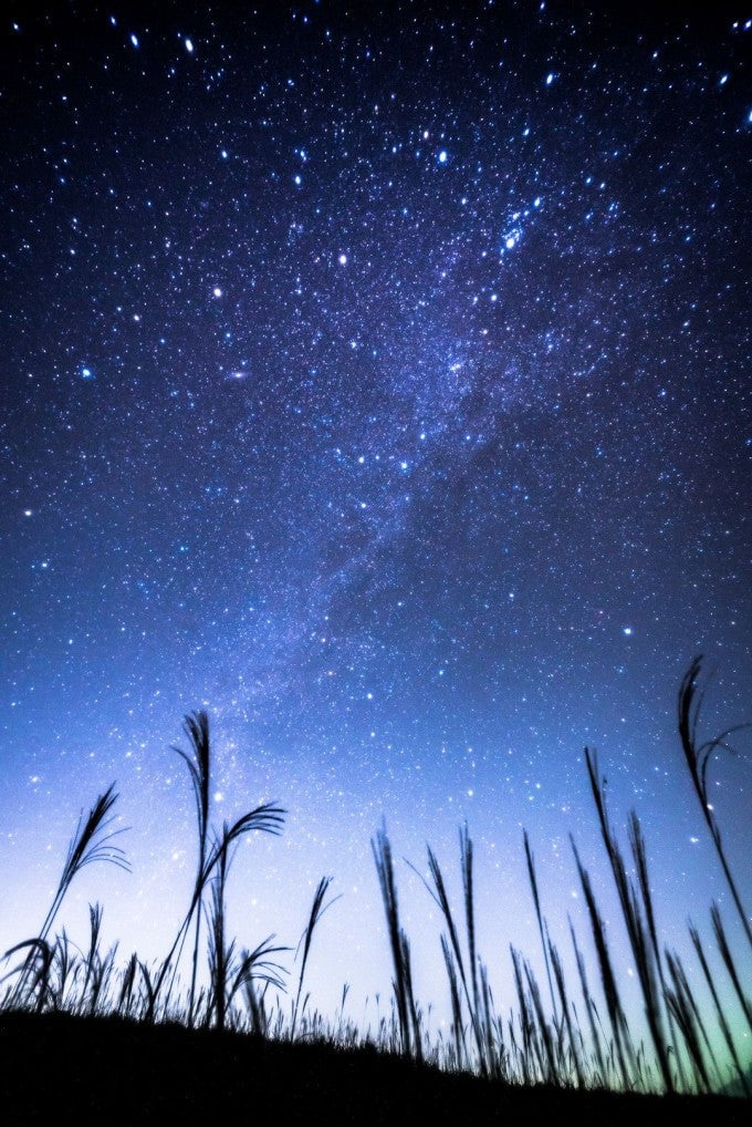 曽爾高原 星