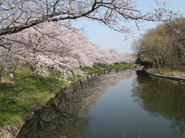 福岡堰(つくばみらい市)