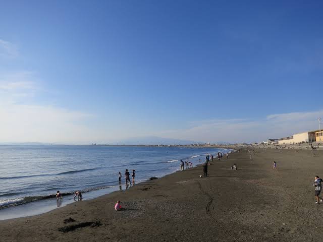 日村