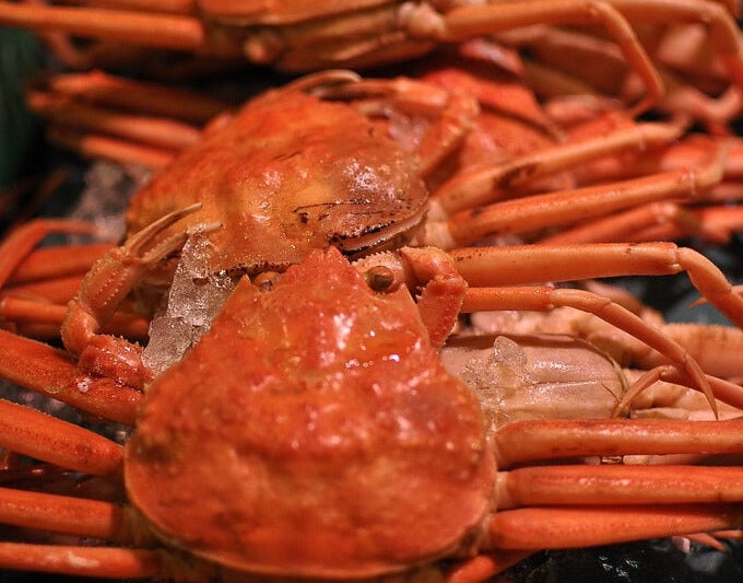 北海道の美味しくて安い蟹の購入の仕方教えます