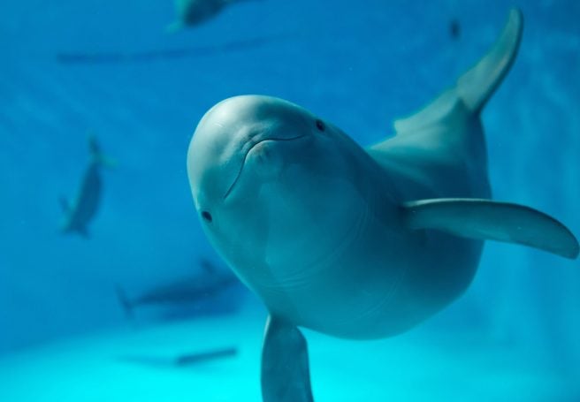 宮島水族館