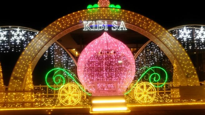 岡山県インスタ映えスポット 吉備SAイルミネーション　桃