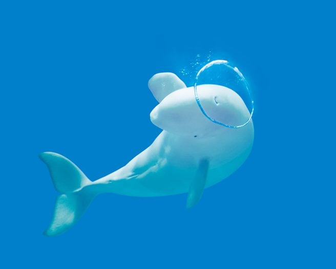 島根海洋館