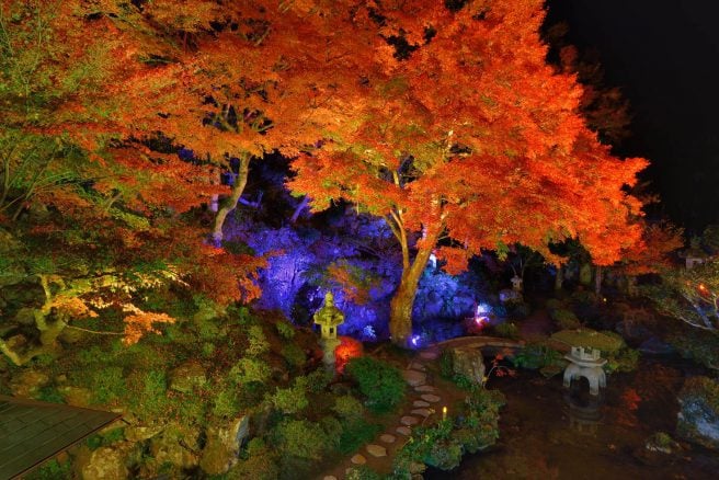 堀庭園