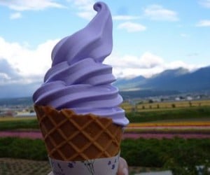 北海道 ソフトクリーム ファーム富田ソフトクリーム