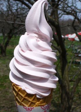 北海道 ソフトクリーム 平岡公園