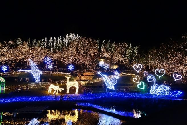 国営備北丘陵公園 イルミネーション