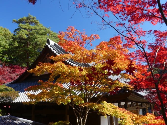 崇禅寺 群馬