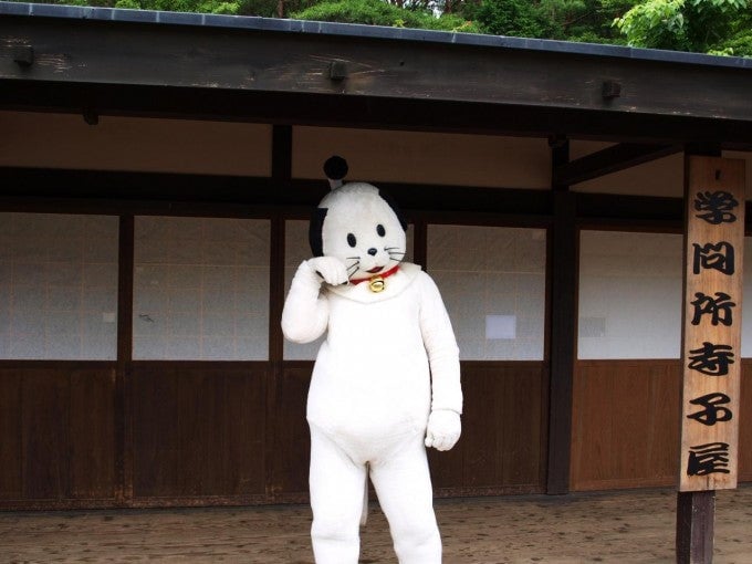 にゃんまげ