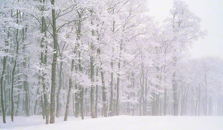 雪が降る前日の寒さは尋常
