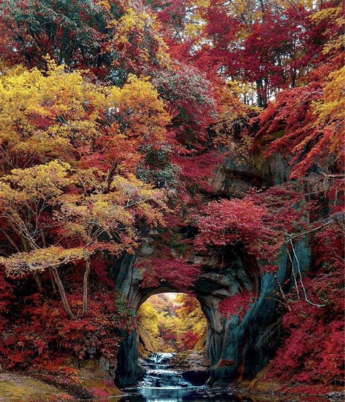 亀岩の洞窟 もみじ